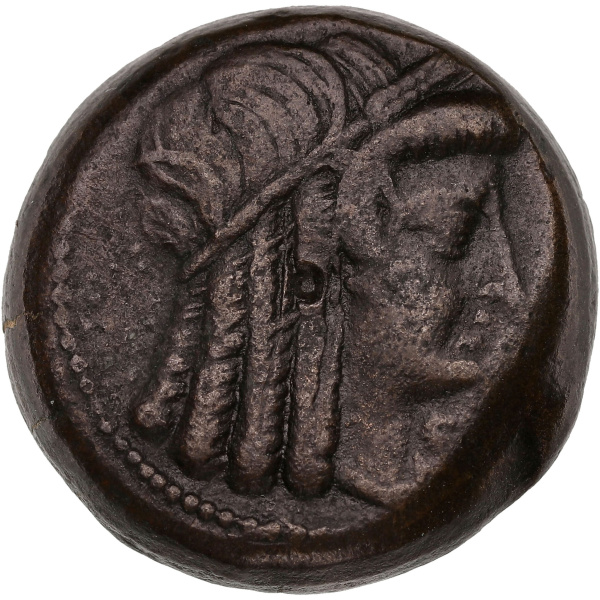 Lot 16