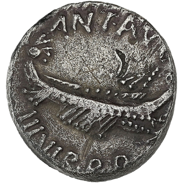 Lot 35