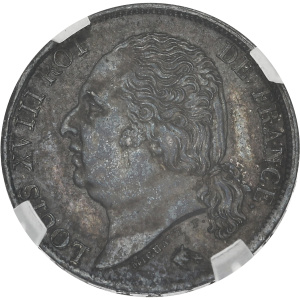 Lot 295