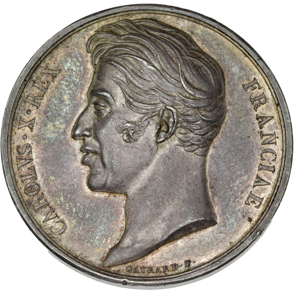 Lot 310