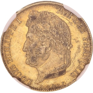 Lot 313