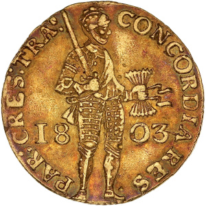 Lot 883