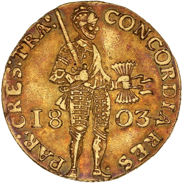 Lot 883