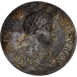 Lot 41