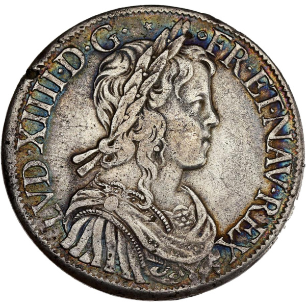 Lot 65