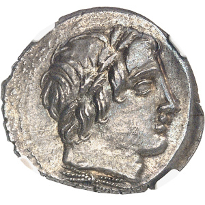 Lot 101