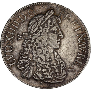Lot 113