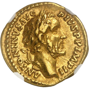 Lot 115