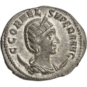 Lot 128