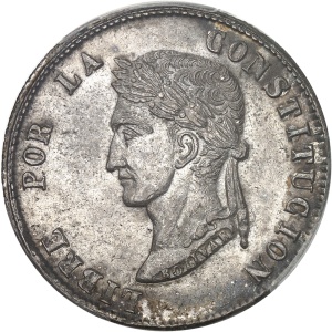 Lot 246