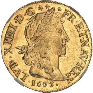 Lot 491