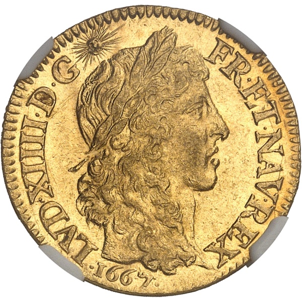 Lot 492