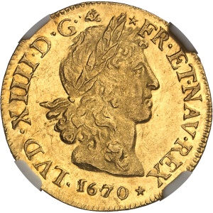Lot 494