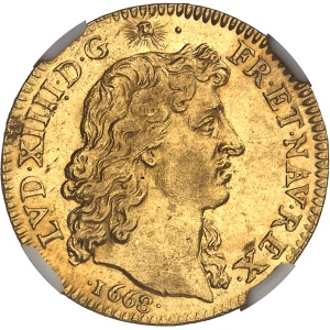 Lot 495