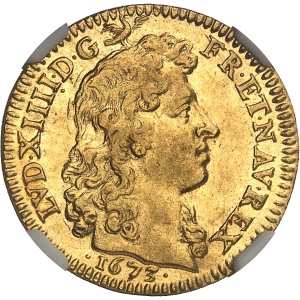 Lot 500