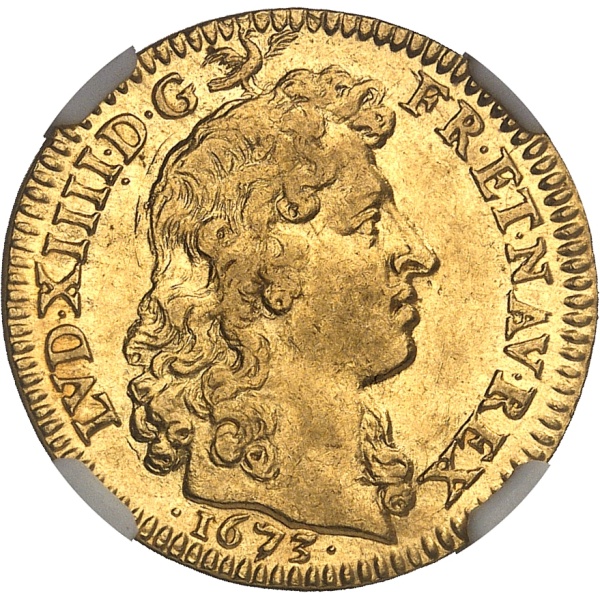 Lot 500