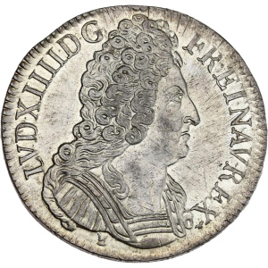 Lot 501