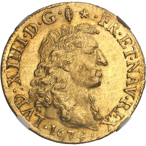 Lot 501