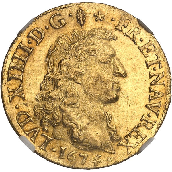 Lot 501