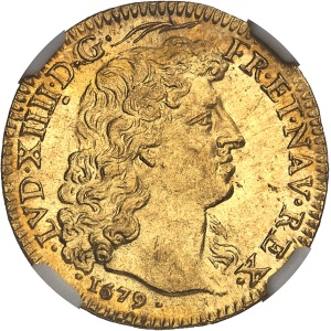 Lot 502