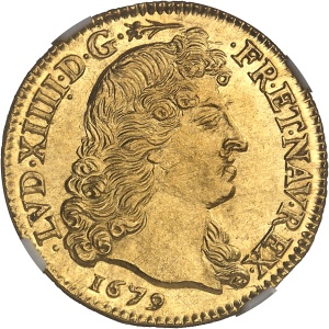 Lot 503