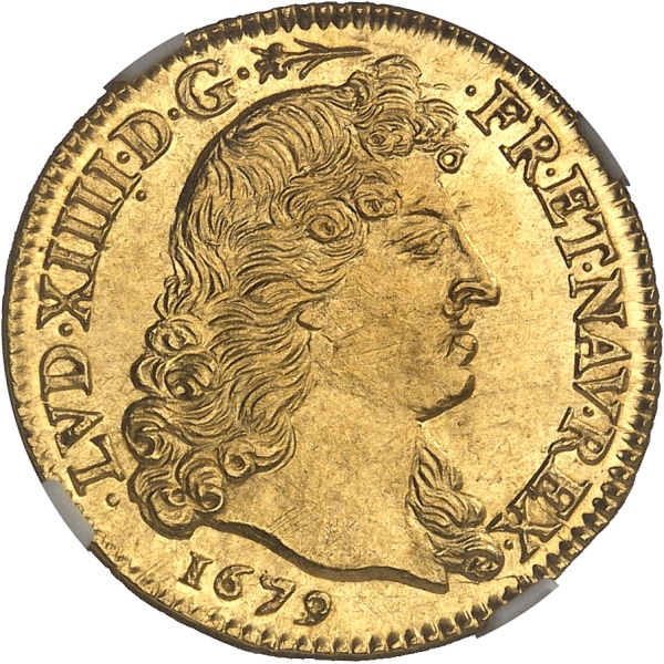 Lot 503