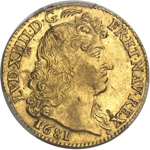 Lot 505