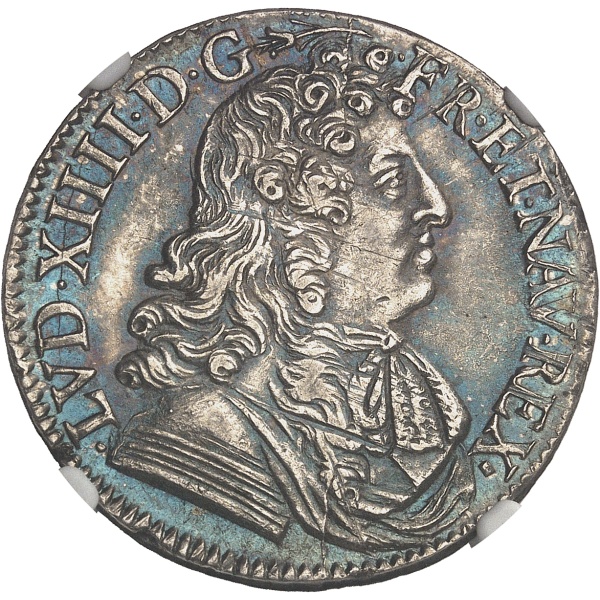 Lot 509