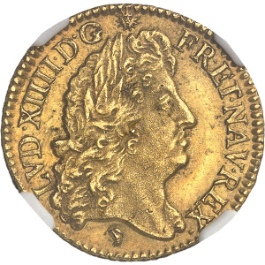 Lot 513