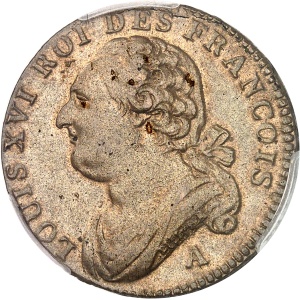 Lot 589
