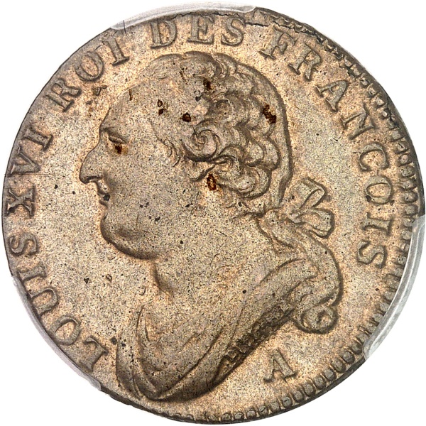 Lot 589