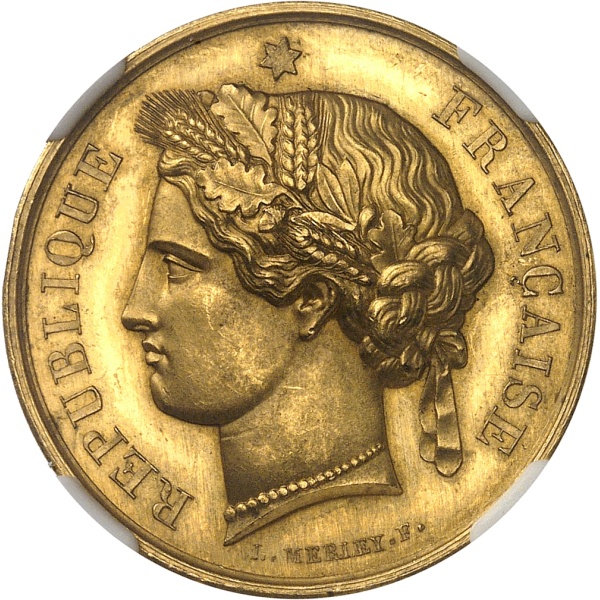 Lot 783