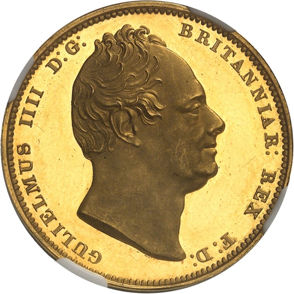 Lot 951