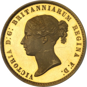 Lot 955