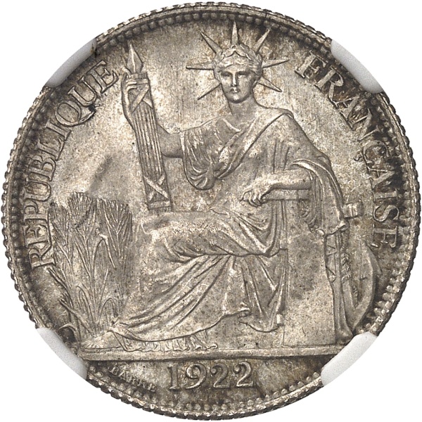Lot 1137