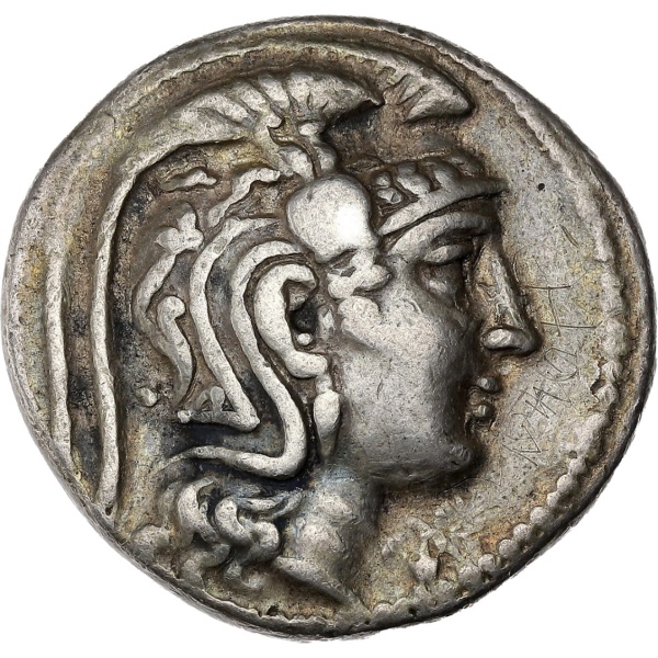 Lot 16