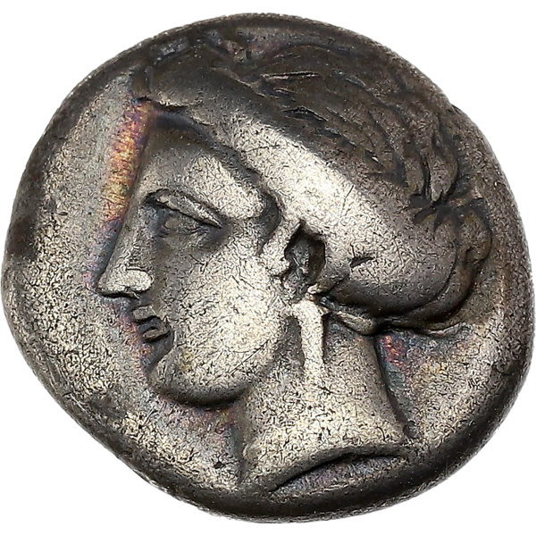 Lot 17