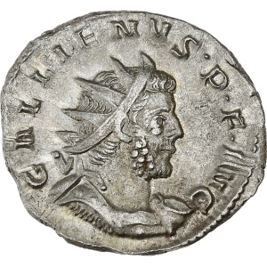 Lot 73