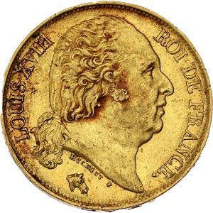 Lot 528