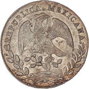 Lot 1004