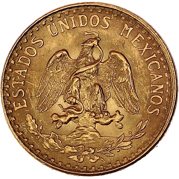 Lot 1007