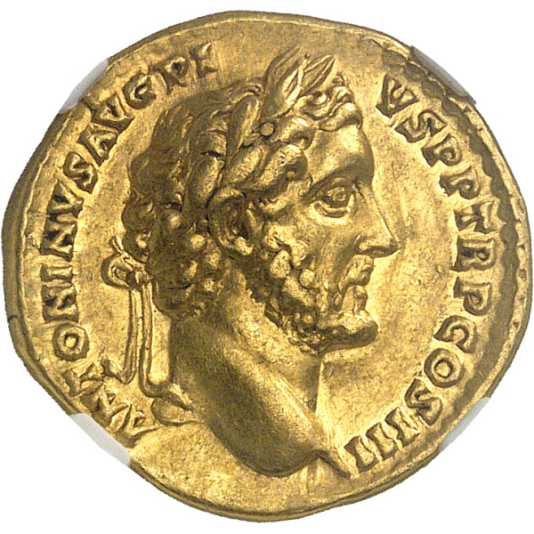 Lot 157