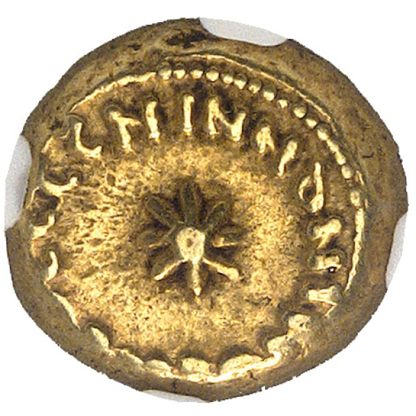 Lot 2005