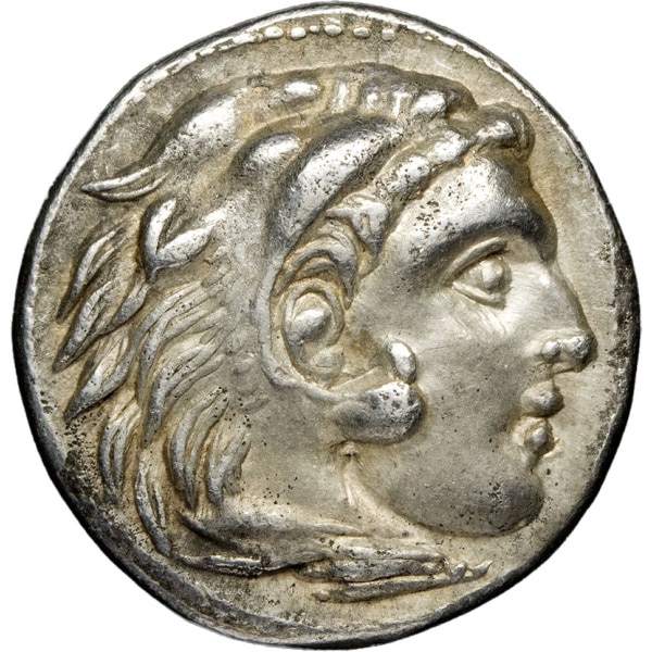 Lot 42