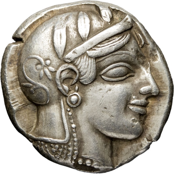 Lot 55