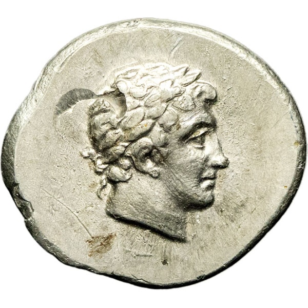Lot 81