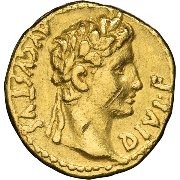 Lot 141