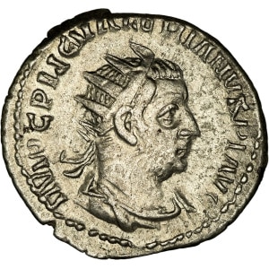 Lot 231