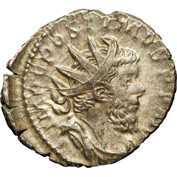 Lot 234