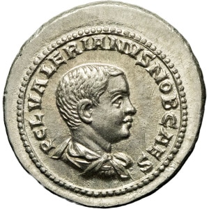 Lot 261